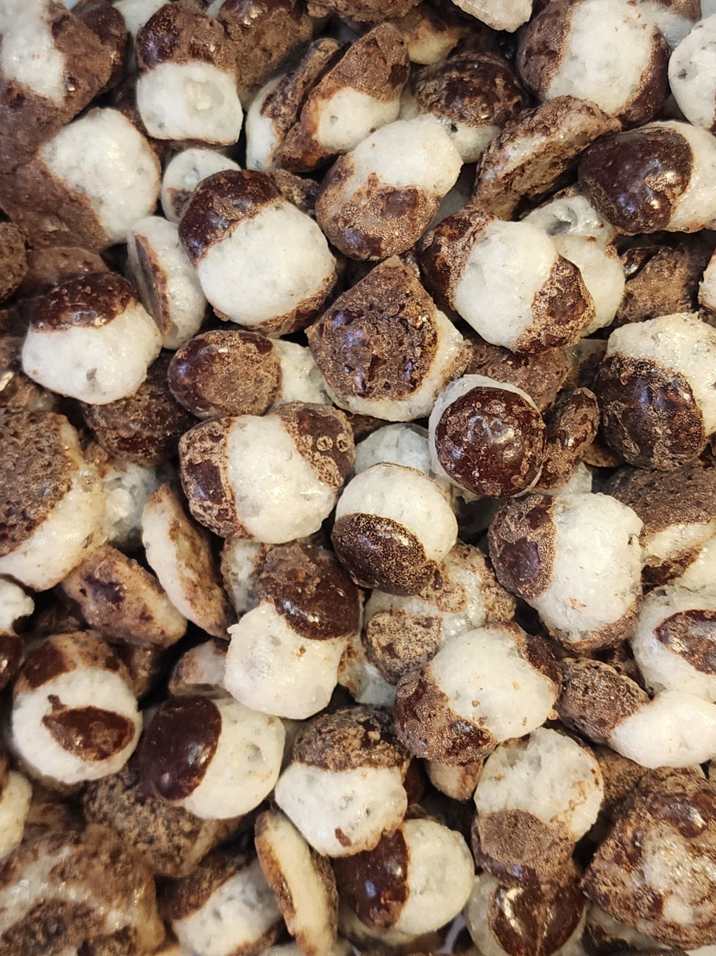 Java Mint Puffs Mint Chocolate Puffs (Freeze Dried Junior® Mints) – Freez Dried Awesome
