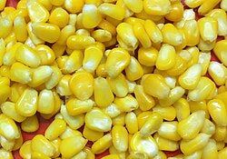 Sweet Corn