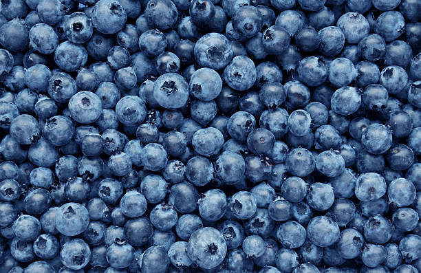 Freeze Dried Blueberries